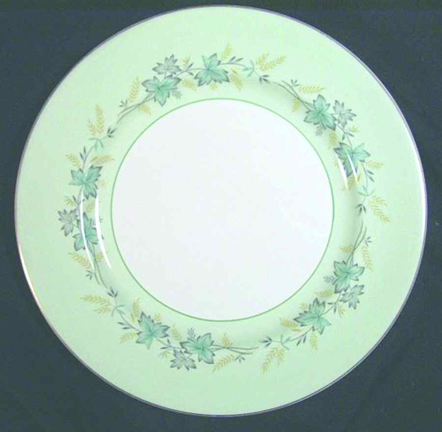 JB849 Dinner Plate by Johnson Brothers-1