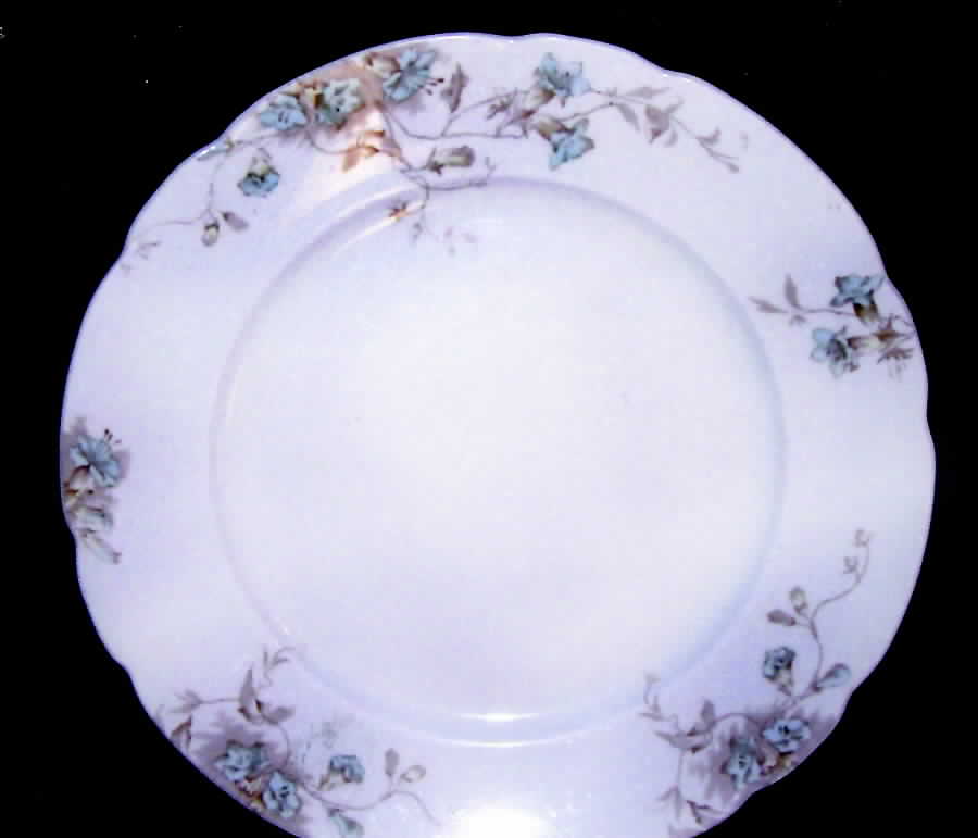 JB850 Dinner Plate by Johnson Brothers-1