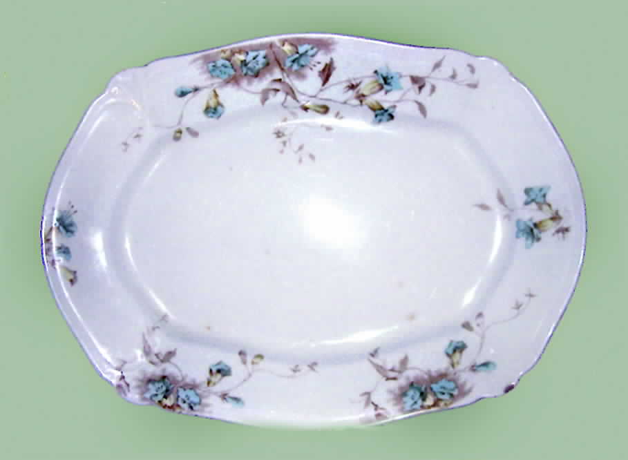 JB850 14" Oval Serving Platter by Johnson Brothers-1