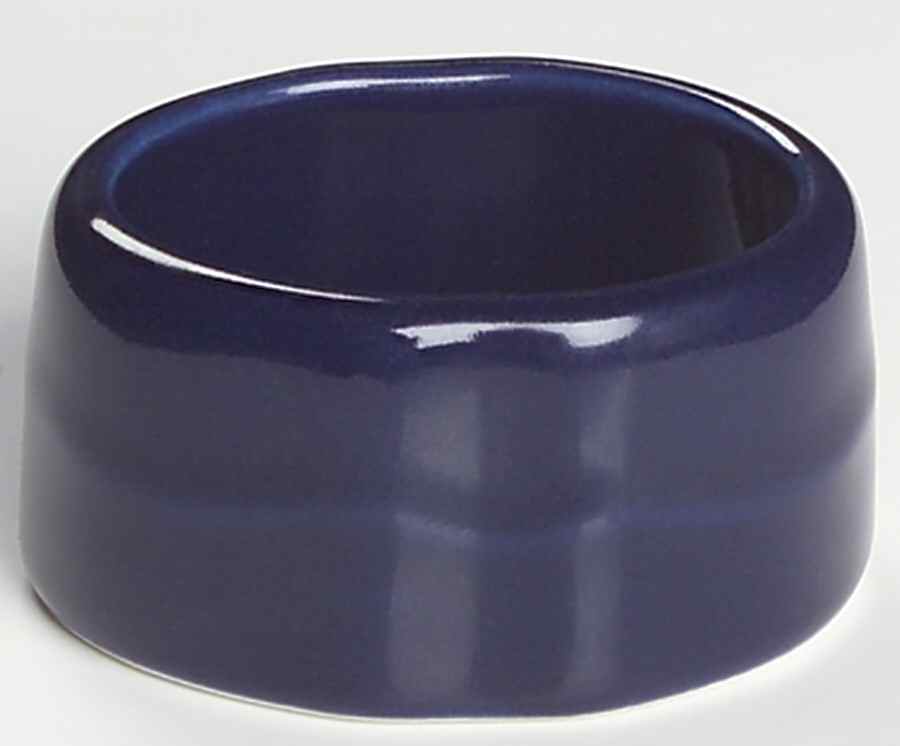 Bistro Blue Napkin Ring by JCPenney-1