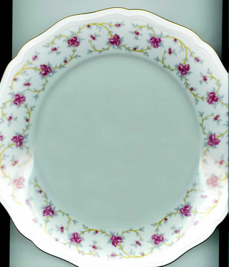 JOH320 Dinner Plate by Johann Haviland-1