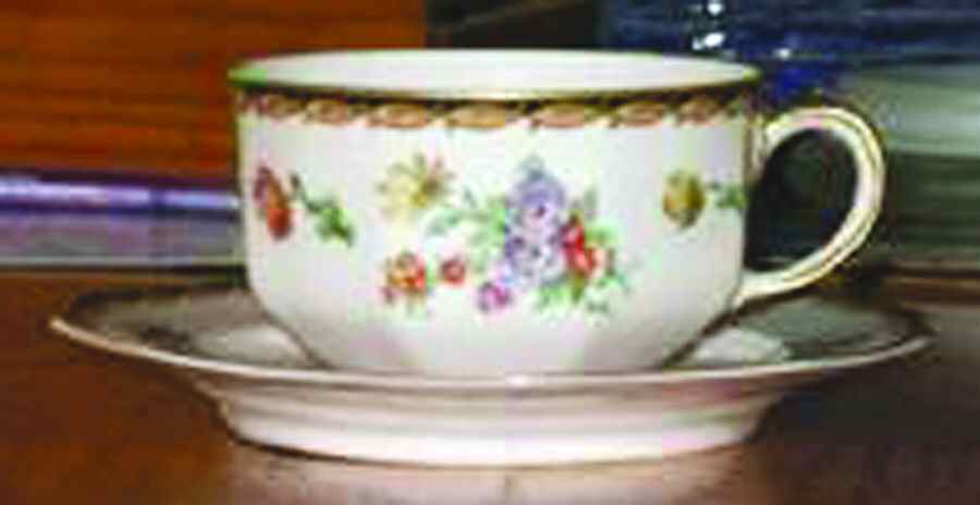 10833 Flat Cup & Saucer Set by Johann Haviland-1