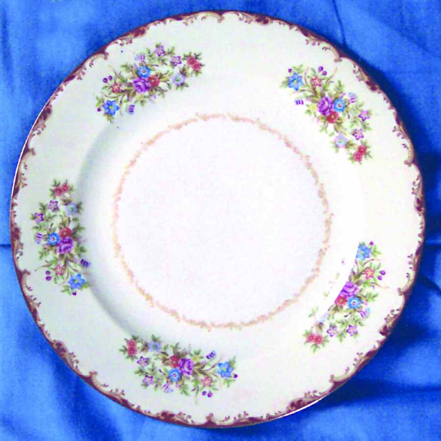 JAP500 Luncheon Plate by Japan-1