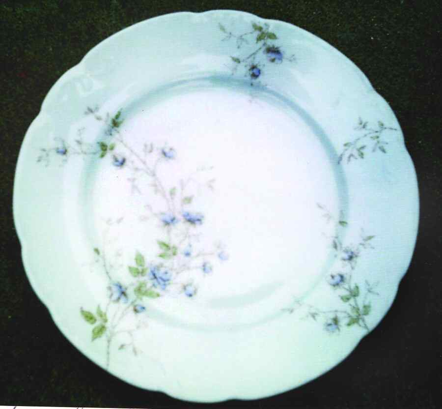 JB865 Dinner Plate by Johnson Brothers-1