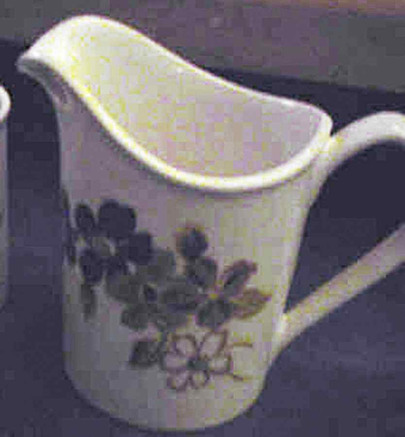 Brasilia Creamer by Johnson Brothers-1