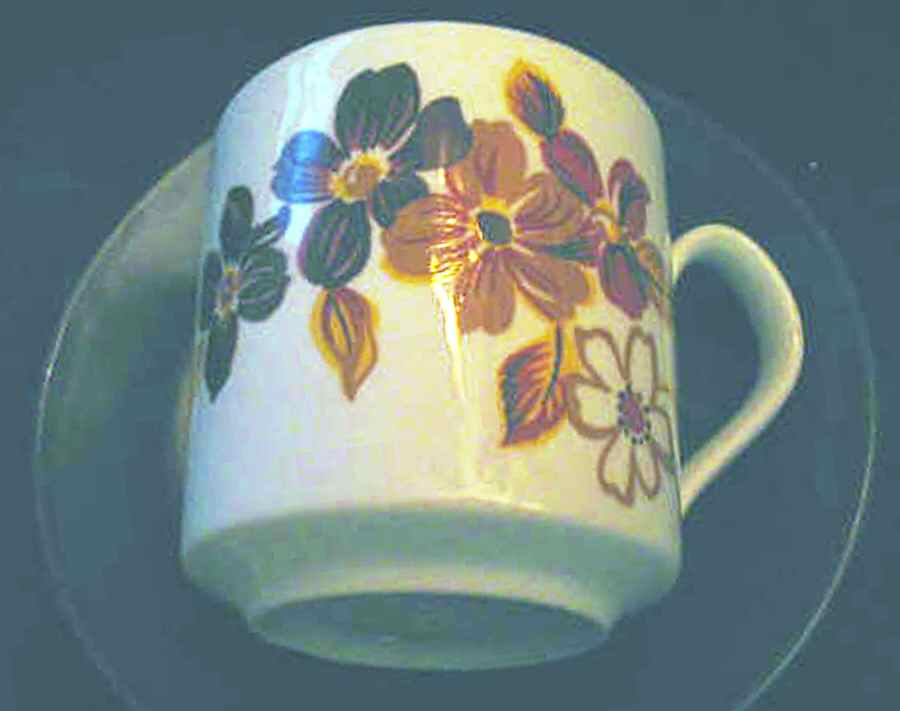 Brasilia Flat Cup & Saucer Set by Johnson Brothers-1