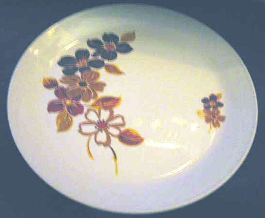 Brasilia Dinner Plate by Johnson Brothers-1