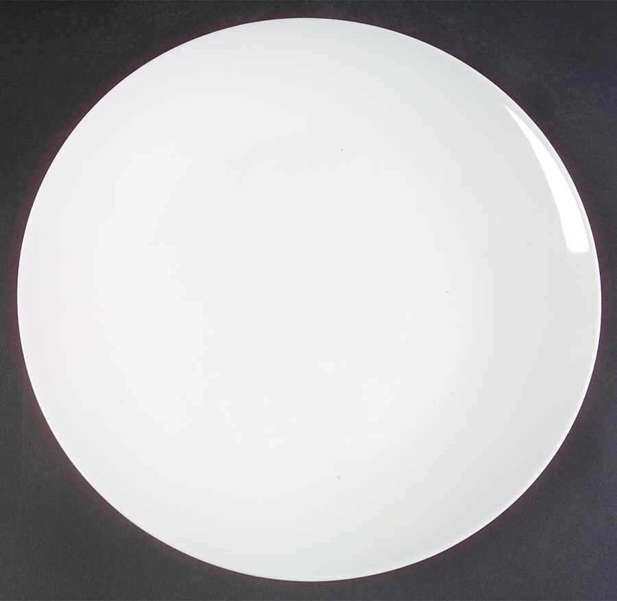 Arctic Dinner Plate by Johnson Brothers-1