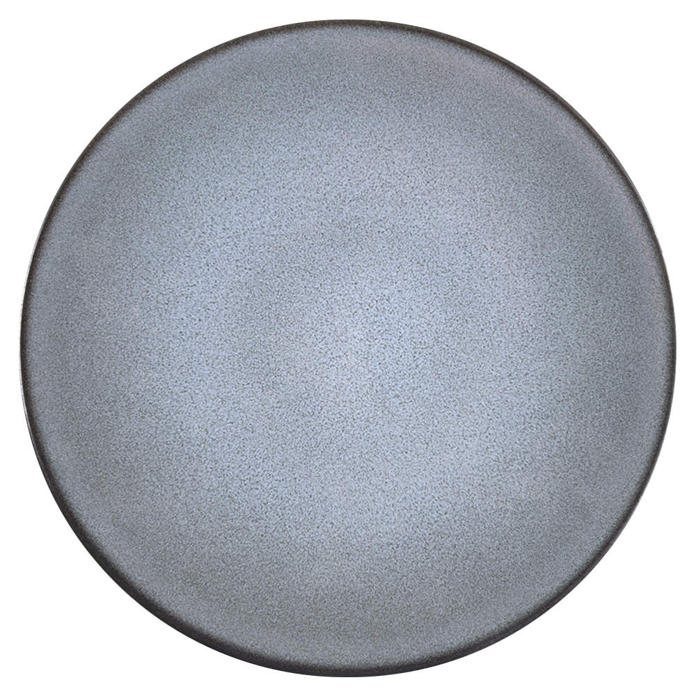 Tourron Gris Ecorce Dinner Plate by Jars-France-1