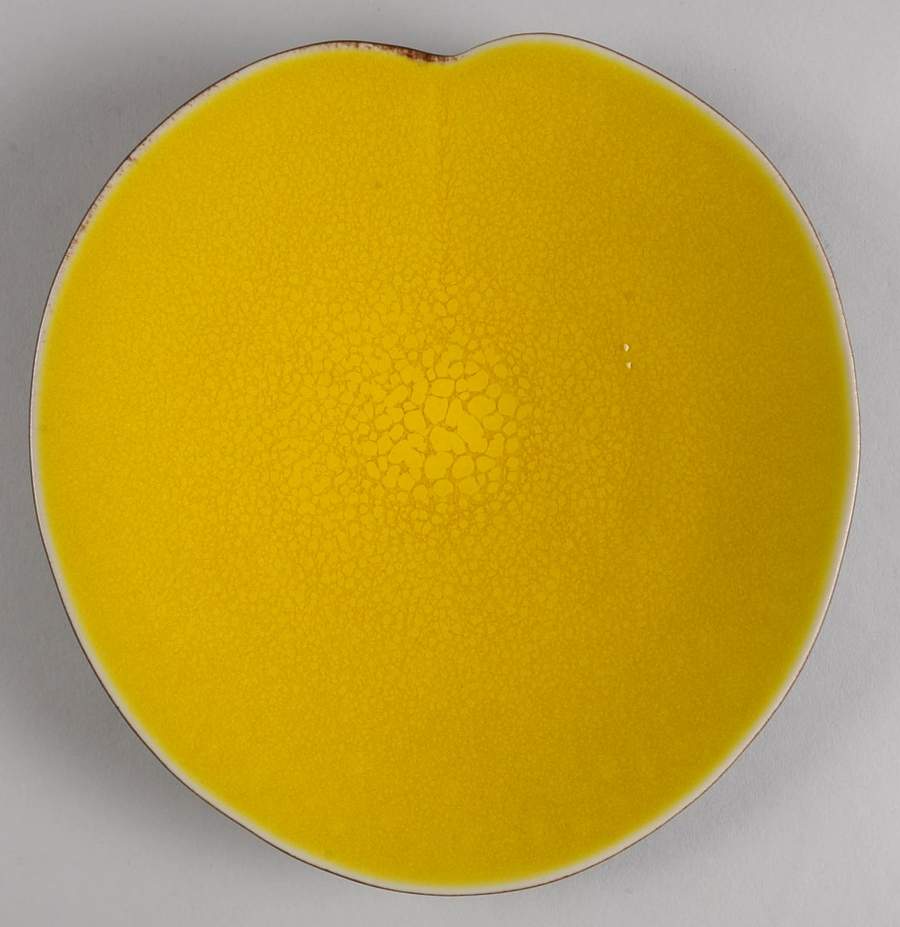 Lilypad Citron Salad/Dessert Plate by Jars-France-1