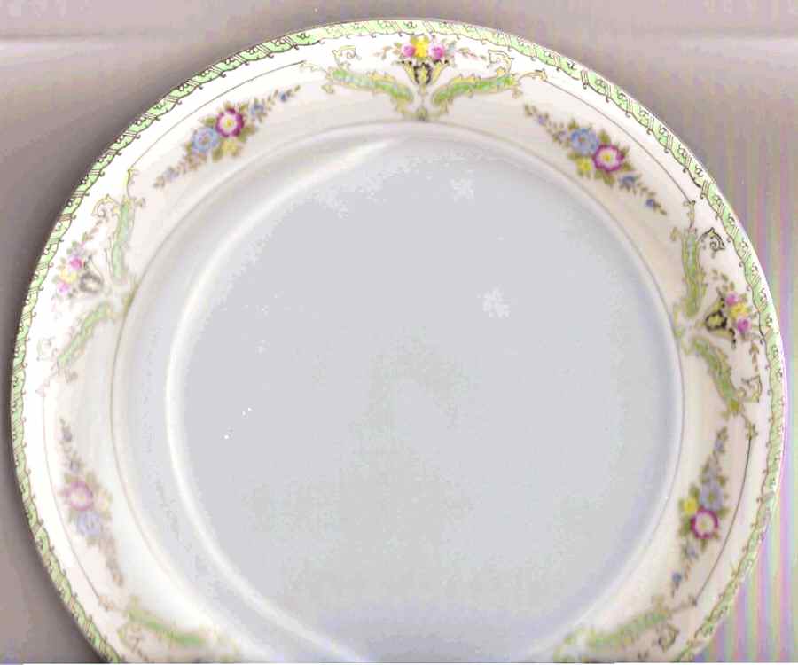 N6406 Dinner Plate by Noritake-1
