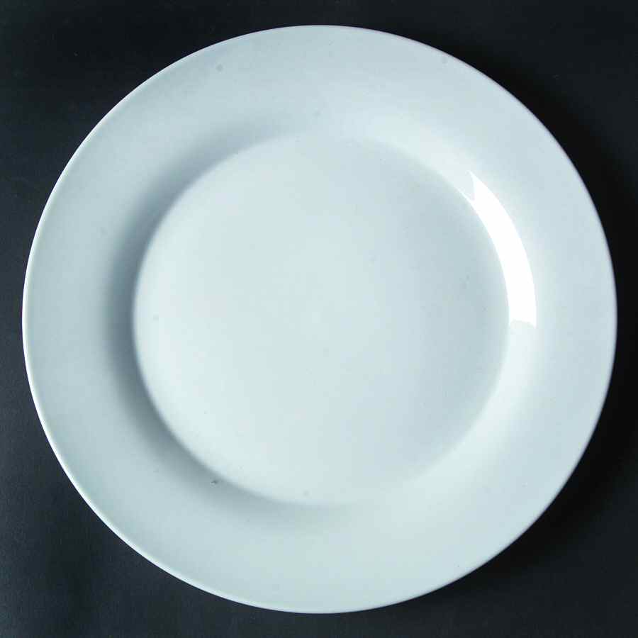 JCP17 Dinner Plate by JCPenney-1