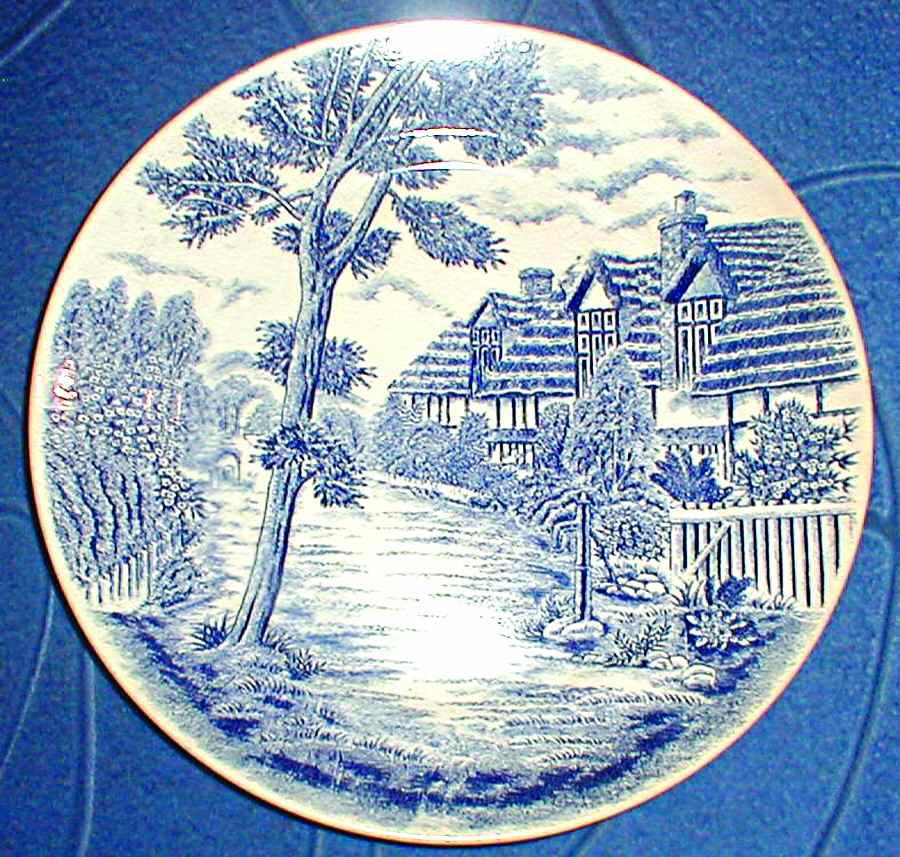 JAP539 Dinner Plate by Japan-1