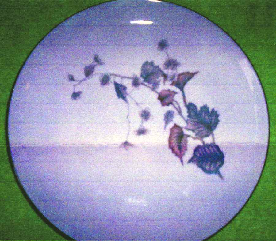 JAP569 Dinner Plate by Japan-1