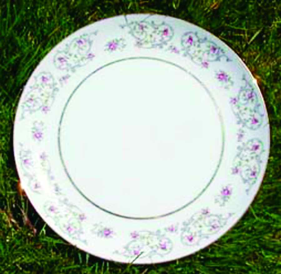 780 Dinner Plate by Jyoto-1