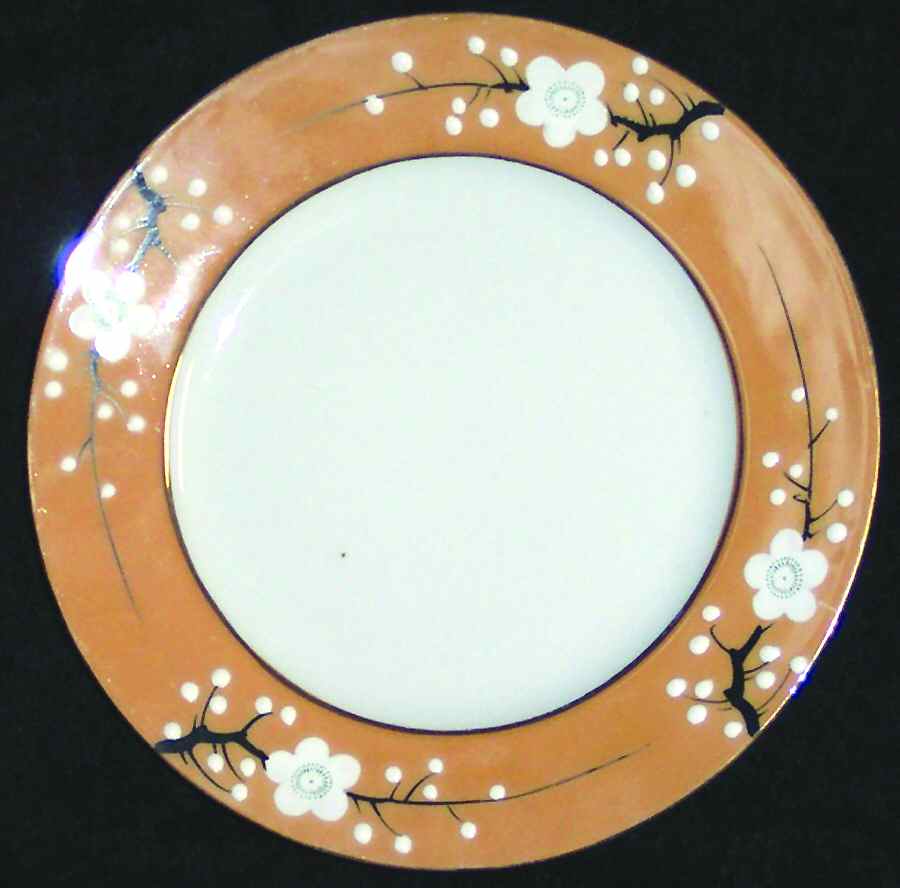 JAP613 Salad Plate by Japan-1