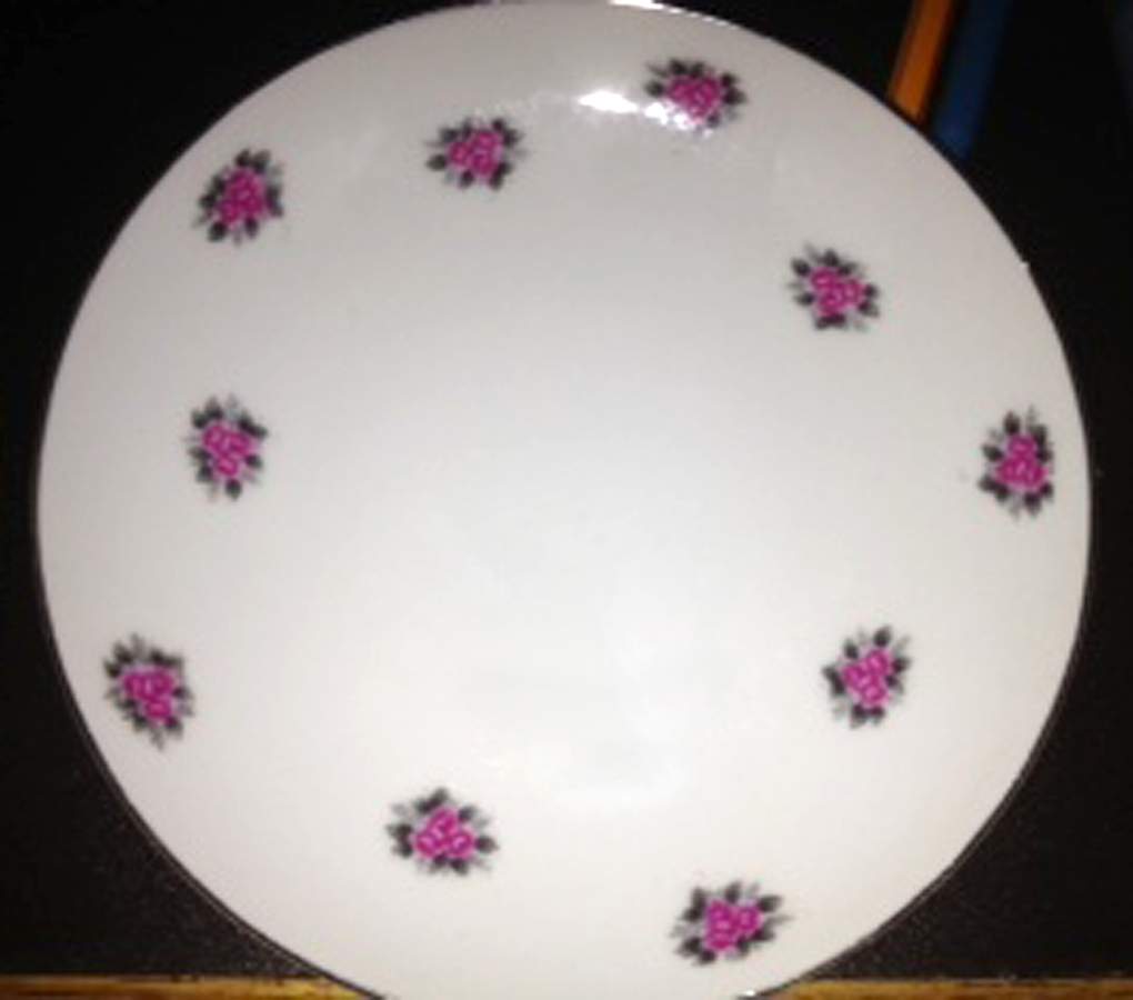 Chintz Dinner Plate by Japan-1