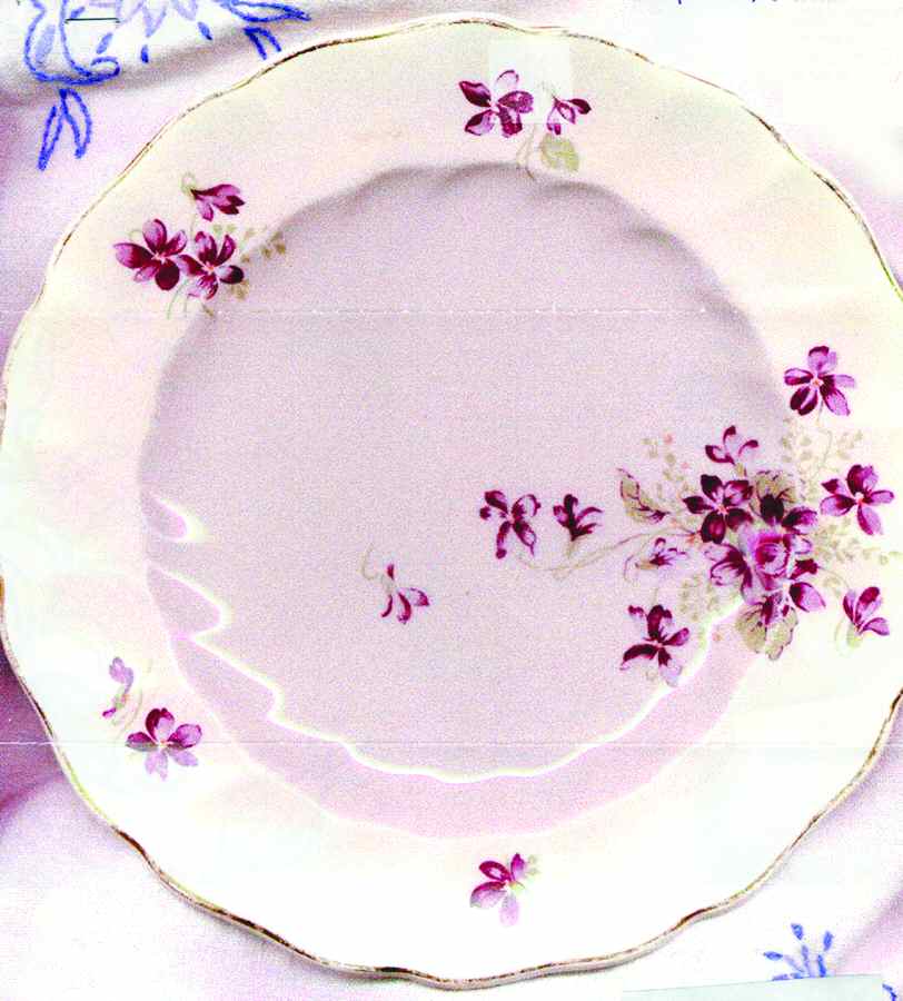 JB928 Salad Plate by Johnson Brothers-1