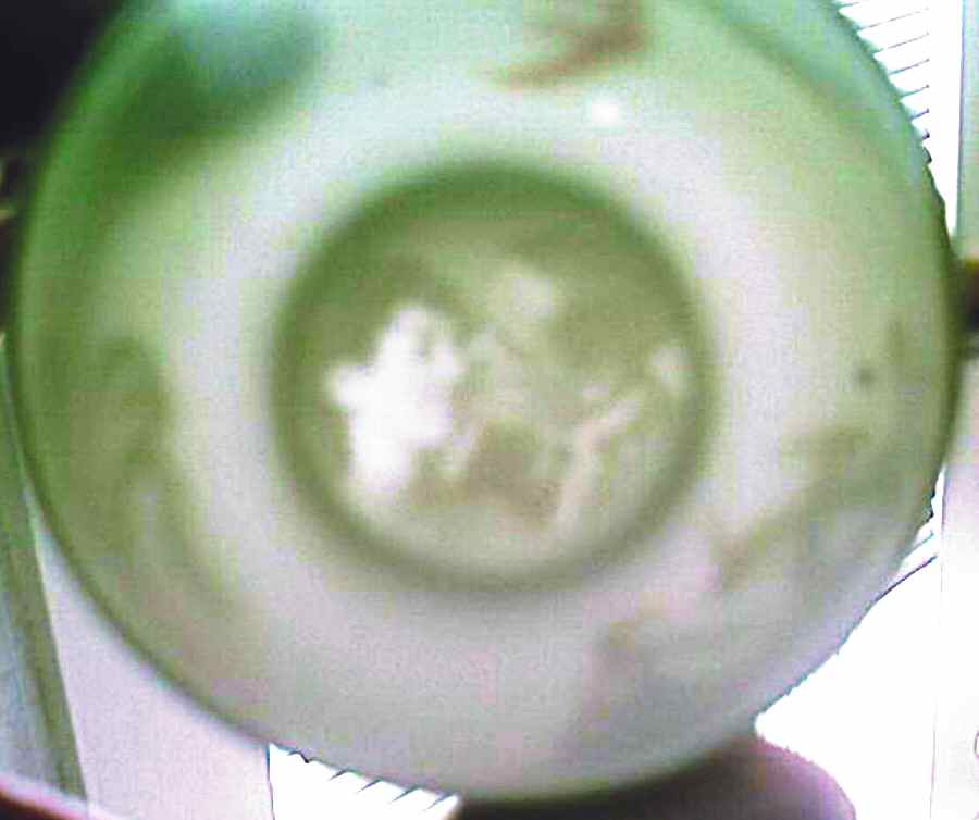 NAG35 Flat Cup by Nagoya Shokai-1