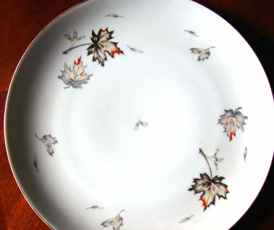 Alicia Dinner Plate by Japan-1