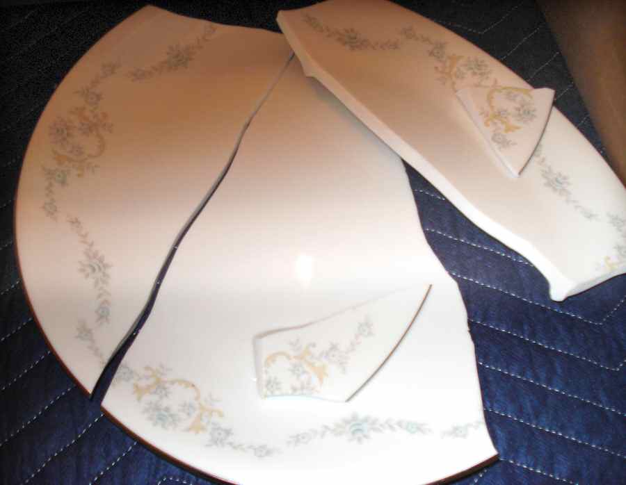 Robin 12" Oval Serving Platter by Japan-1