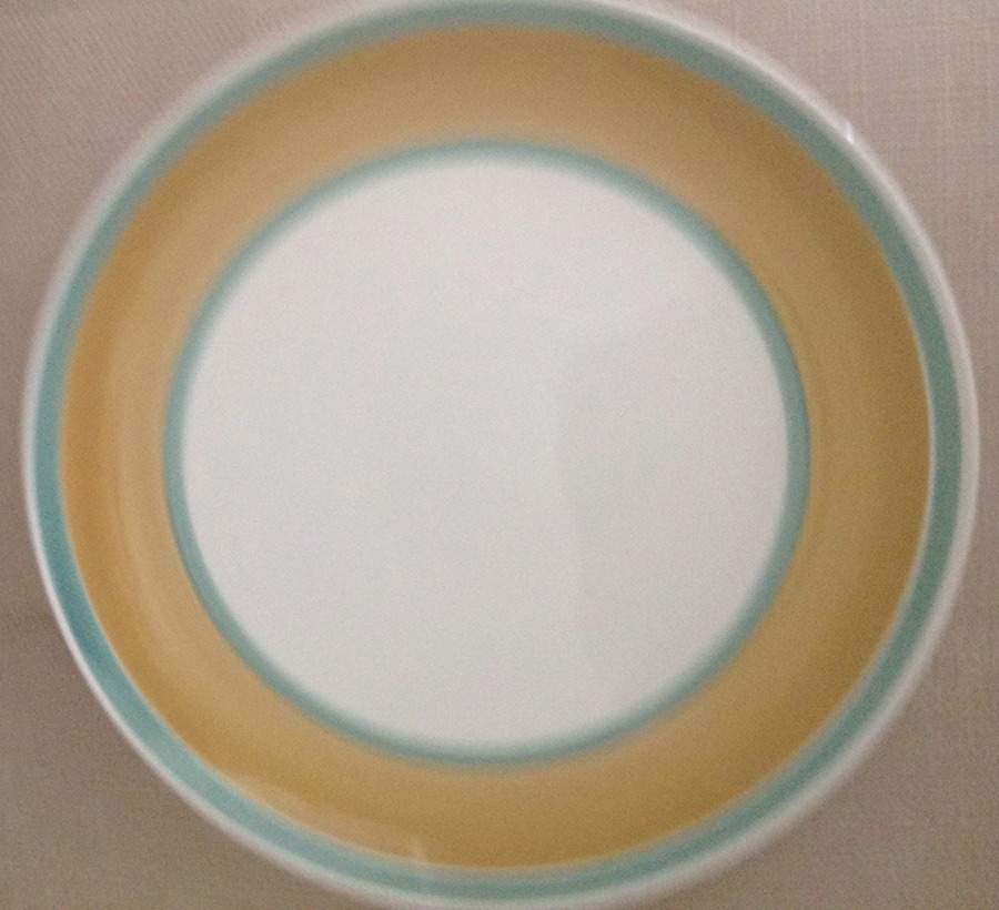 Tropica Dinner Plate by Japan-1