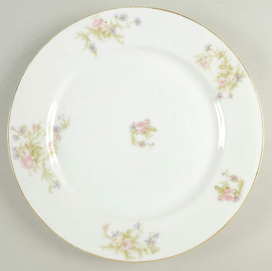 3766 Dinner Plate by Jaeger-1