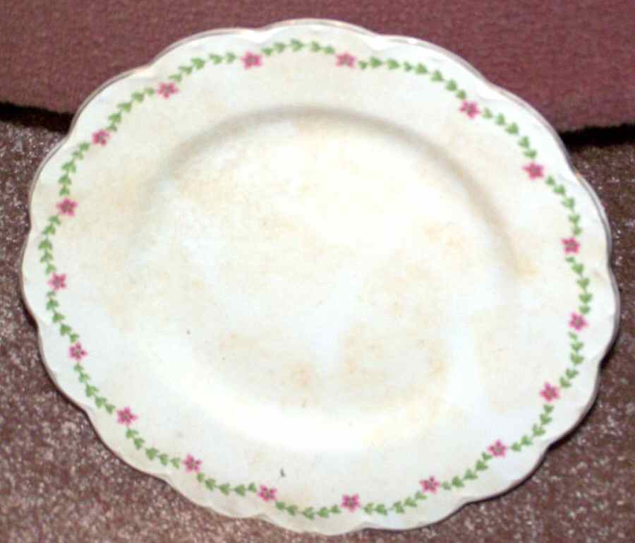 JB970 Dinner Plate by Johnson Brothers-1