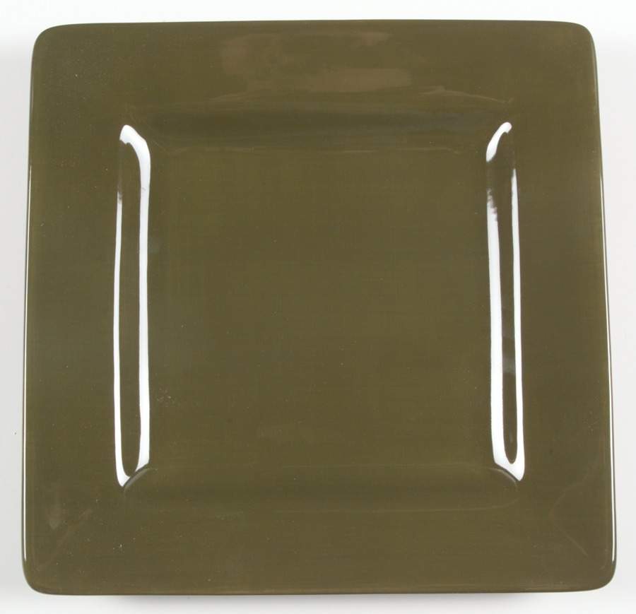 Pesto Square Dinner Plate by JCPenney-1