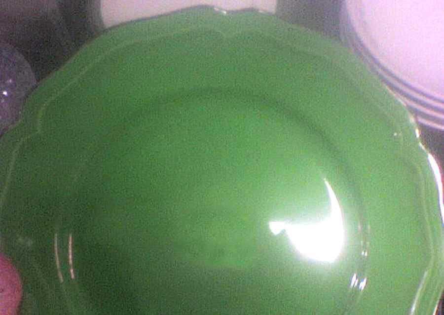 Dagmar Green Dinner Plate by Anthropologie-1