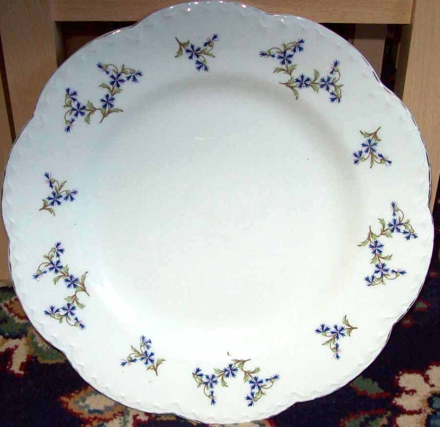 JB992 Dinner Plate by Johnson Brothers-1