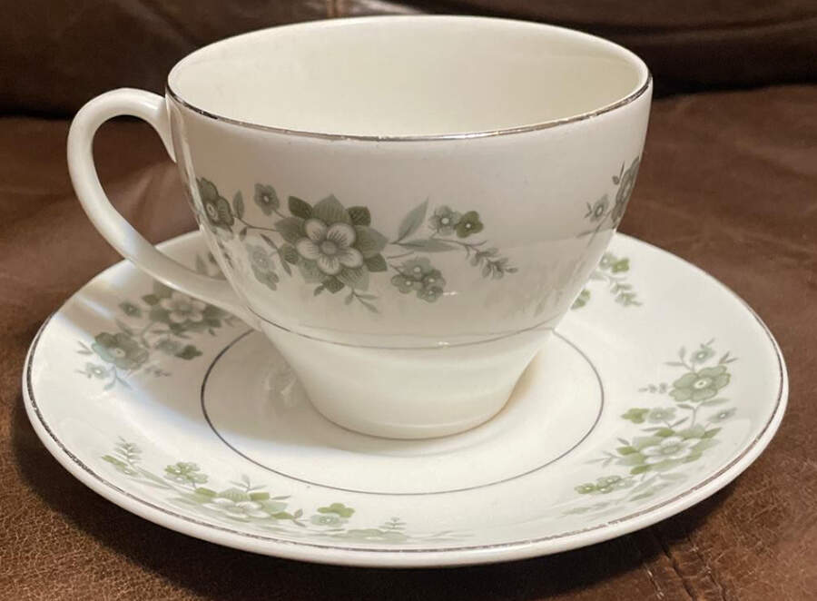 Meadowvale Flat Cup & Saucer Set by Johnson Brothers-1