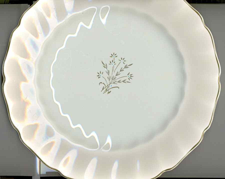 JB1002 Dinner Plate by Johnson Brothers-1