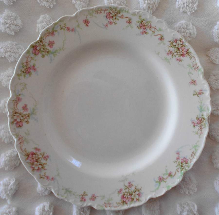 JB1010 Dinner Plate by Johnson Brothers-1