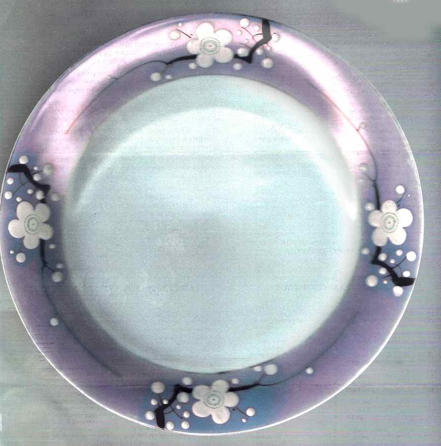 SZK14 Dinner Plate by Shimizu Rokunosuko-1
