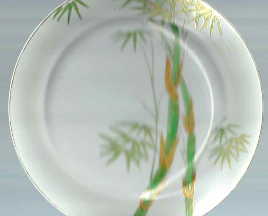 JAP809 Dinner Plate by Japan-1