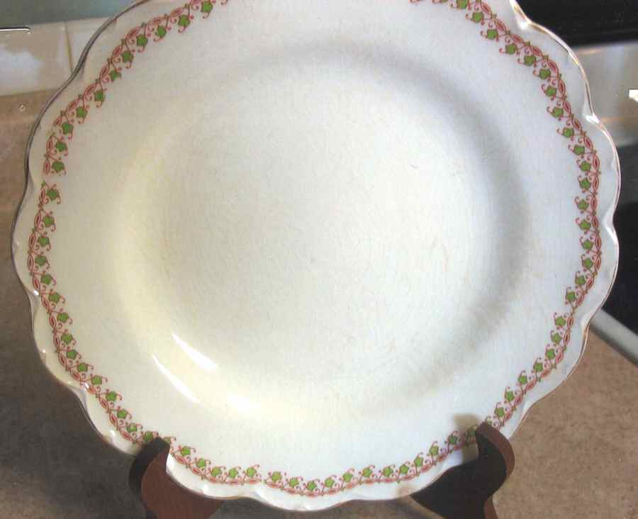 JB1019 Dinner Plate by Johnson Brothers-1