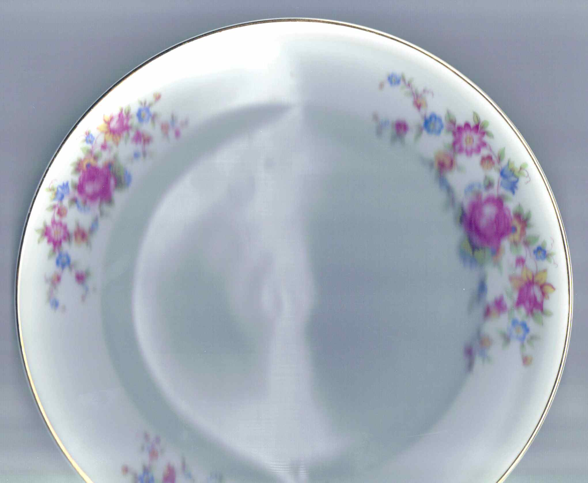 348 Dinner Plate by Johann Seltmann-1