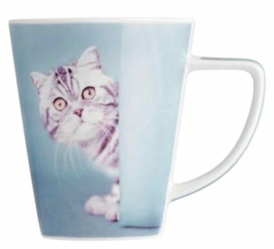 Rachel Hale Mug by Johnson Brothers-1