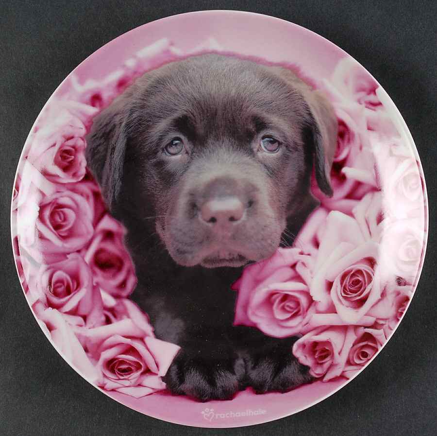Rachel Hale Dessert Luncheon Plate by Johnson Brothers-1