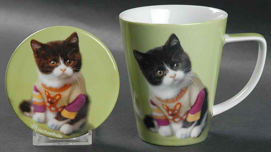 Rachel Hale Mug & Coaster Set by Johnson Brothers-1
