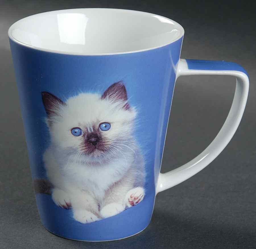 Rachel Hale Mug by Johnson Brothers-1
