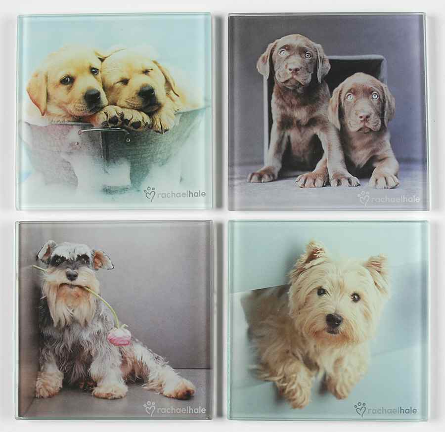 Rachel Hale Glassware Coaster - Set of 4 Motifs by Johnson Brothers-1