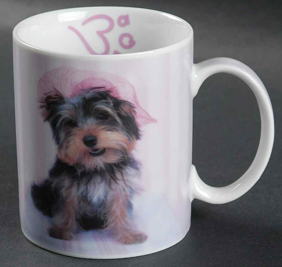 Rachel Hale Mug by Johnson Brothers-1
