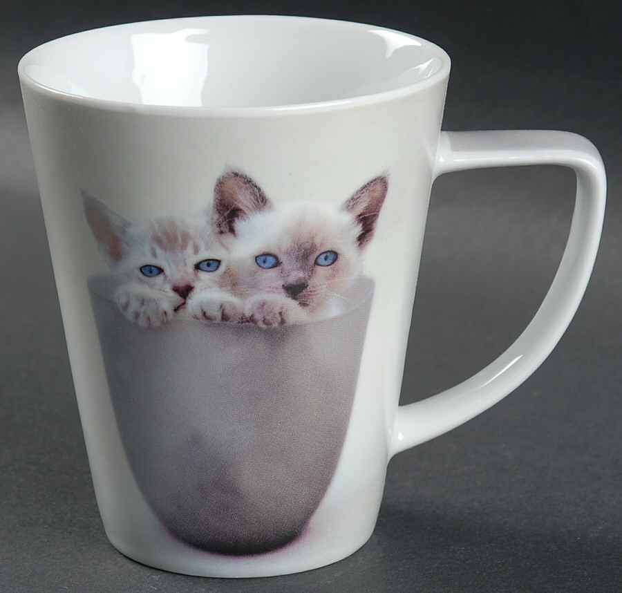 Rachel Hale Mug by Johnson Brothers-1