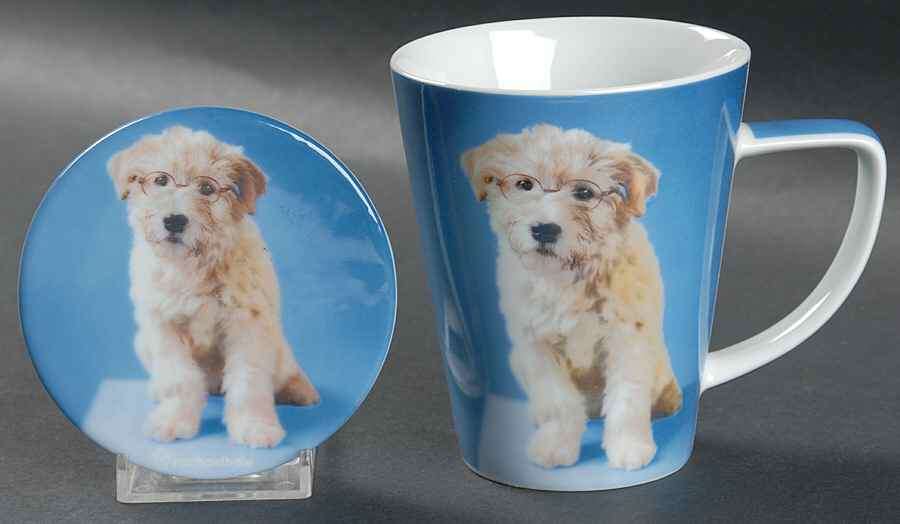 Rachel Hale Mug & Coaster Set by Johnson Brothers-1