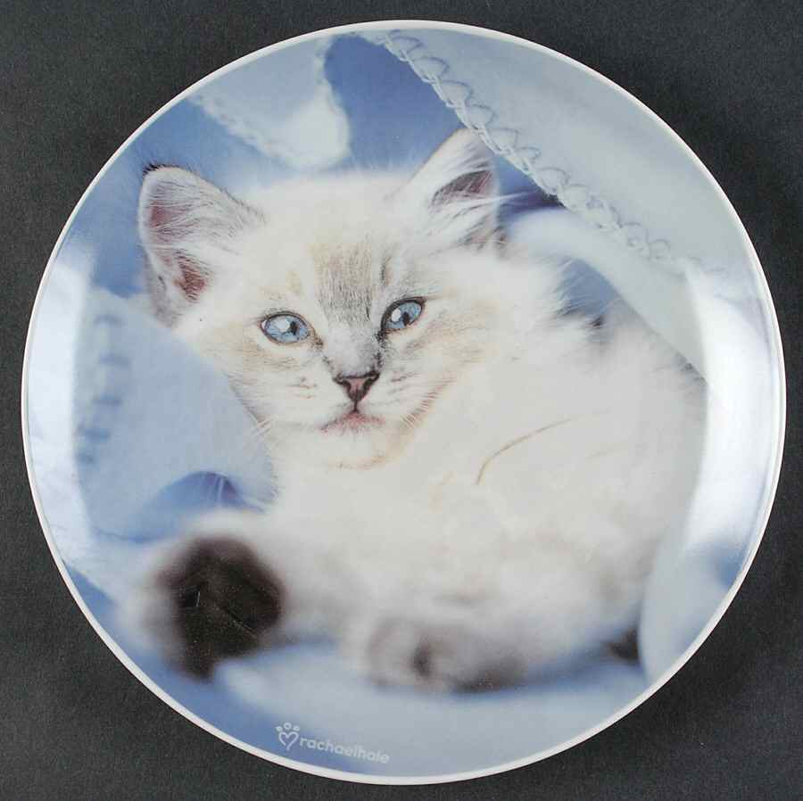 Rachel Hale Dessert Luncheon Plate by Johnson Brothers-1