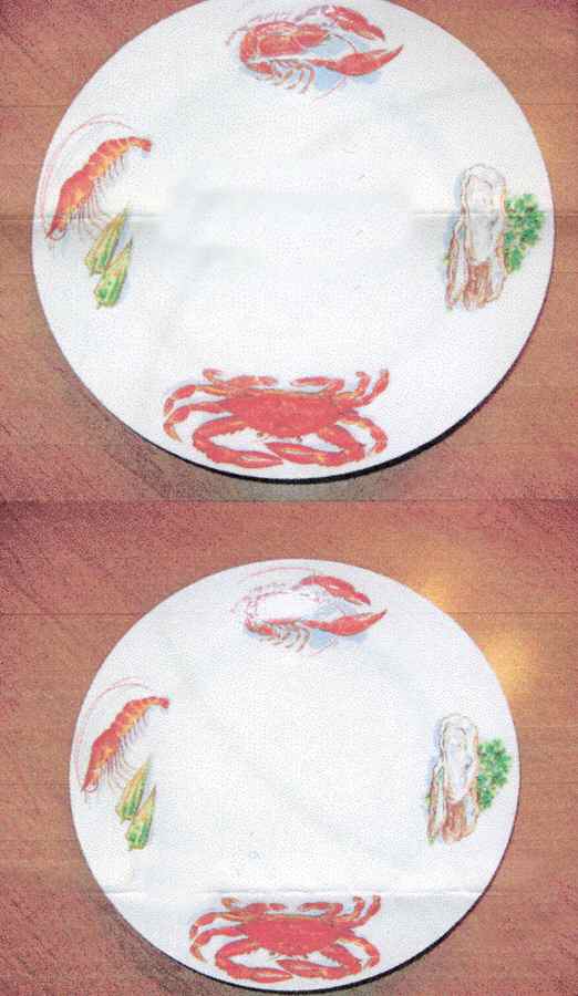 JAP826 Dinner Plate by Japan-1