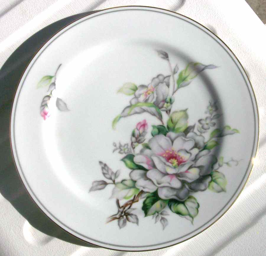 JYO81 Dinner Plate by Jyoto-1