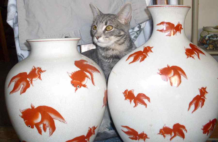 Gold Fish Collection Vase by J A Designs-1
